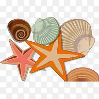 卡通海洋生物海洋星星贝壳