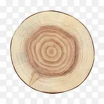 卡其色波纹状中心的木头截面实物