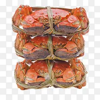 红色美味的食物清蒸大闸蟹实物