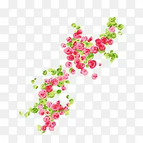 水彩花卉