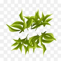 矢量鲜茶叶素材