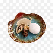 贝壳造型个性盘子