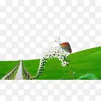 绿色草地
