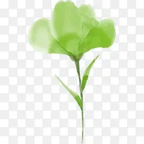 绿绿的树叶春季植物草坪叶子