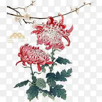 中国风水彩红菊元素