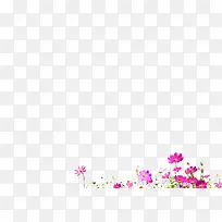 粉红色小花