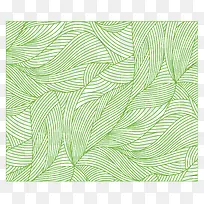 树叶底纹
