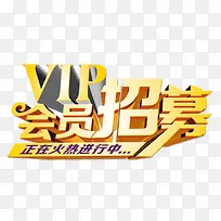 会员招募金色立体字