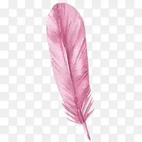 粉色的羽毛PNG