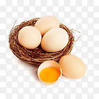 鸟巢里的鸡蛋
