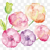 彩色花卉