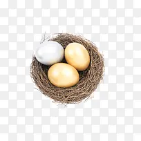 鸟巢里的蛋