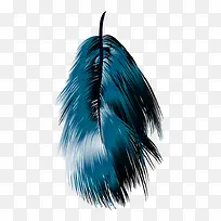 蓝色的羽毛