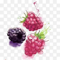 彩绘水果葡萄图