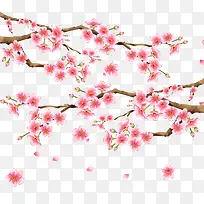 春天装饰手绘桃花素材