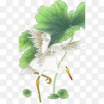 中国风荷叶鸟类