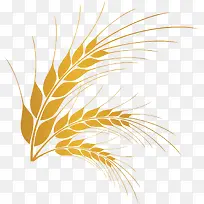 麦穗水稻小麦大米