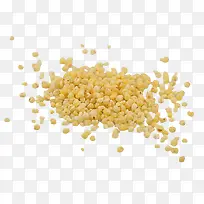 黄色颗粒状小米粒