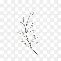 枯枝树干植物图案