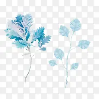 蓝色淡雅小清新植物