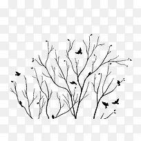 枯树枝和小鸟