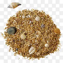 沙粒中的贝壳