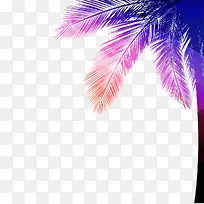 椰树
