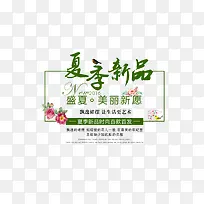 夏季新品