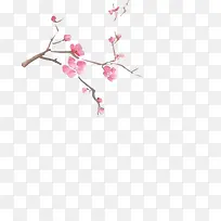 树枝上的粉色花朵中国画