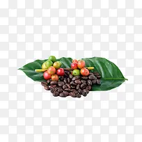 在绿色叶子上的咖啡果和咖啡豆实