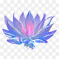 梦幻蓝色绽开的花朵png