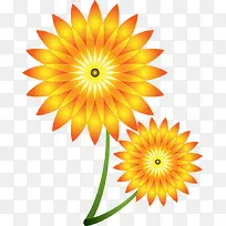 几何太阳花