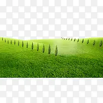 绿色大草原