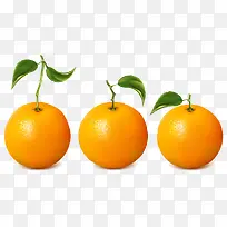 3个脐橙