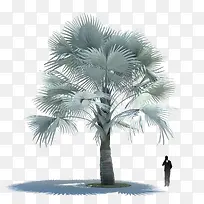 椰子树免扣元素