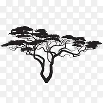 黑色松树