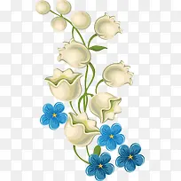 白色铃兰花