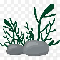 海洋植物绿色海草
