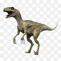 尖齿利爪3D恐龙