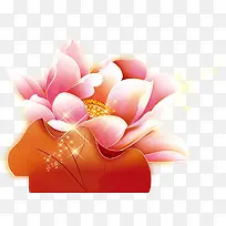 花，花朵，淘宝素材，荷花，粉色