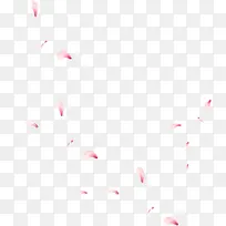 粉色中国风漂浮花瓣
