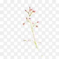 桃花开开图片素材