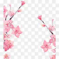 粉色樱花节樱花装饰图案
