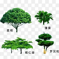 园林绿植树木素材