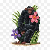 花丛中的黑猩猩