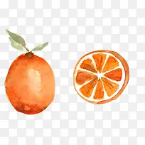 橙子水彩画素材图片