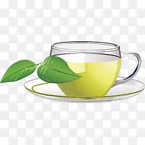 绿茶叶子普洱茶叶