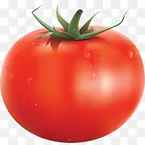 新鲜生鲜番茄西红柿