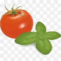 西红柿素材