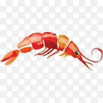 卡通虾子水彩画装饰图案